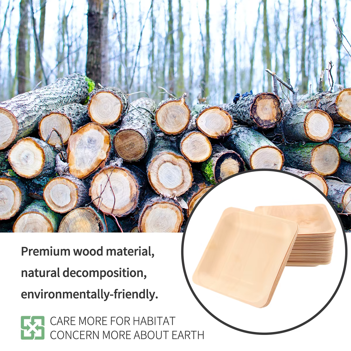 Assiettes carrées en bois naturel