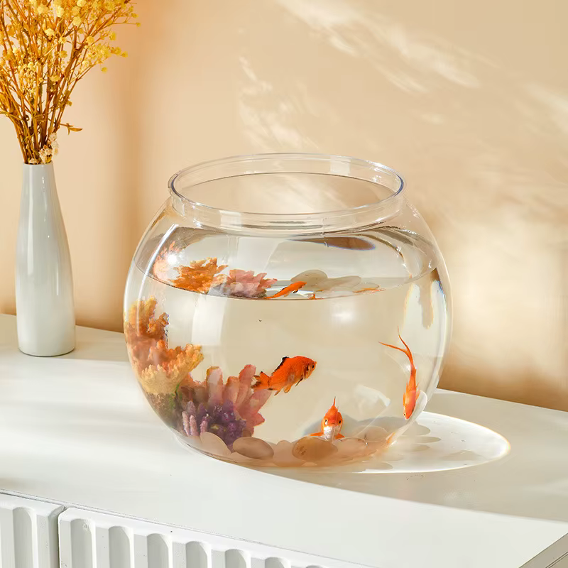 Bol à poisson rond Portable, petits Aquariums pour petits poissons et Reptiles ornementals, verre haute transparence, bonne vue, matériau PET