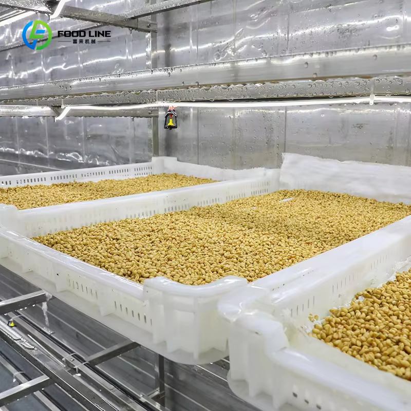 Conteneur d'expédition transformé en ferme verticale, système hydroponique de culture de fourrage, serre agricole en conteneur, système de fourrage personnalisé