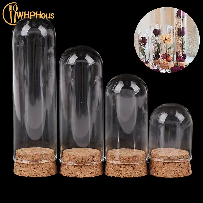 Cloche en verre avec base en bois