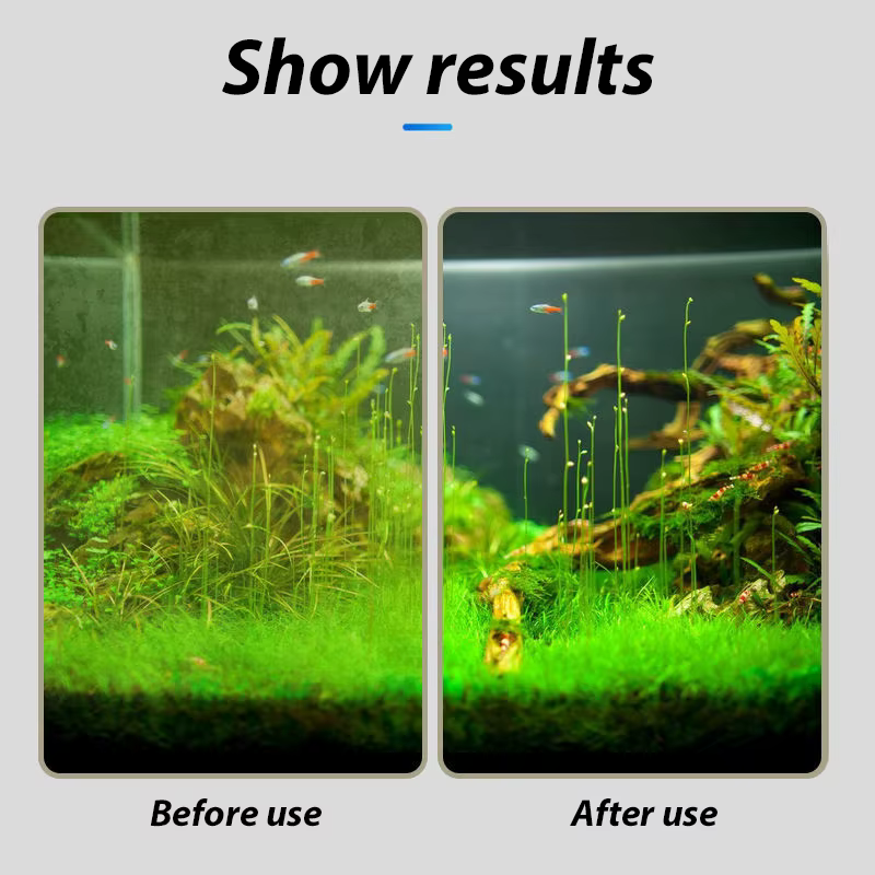 Racloir d'algues flottant pour aquarium, verre précieux, brosses pour livres de plantes, fenêtre propre, accessoires en éponge, outils de haute qualité