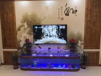 Grand Cube Transparent personnalisé en acrylique pour Aquarium, Table en verre pour Aquarium