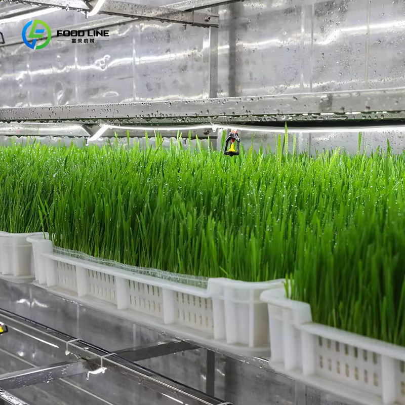 Conteneur d'expédition transformé en ferme verticale, système hydroponique de culture de fourrage, serre agricole en conteneur, système de fourrage personnalisé