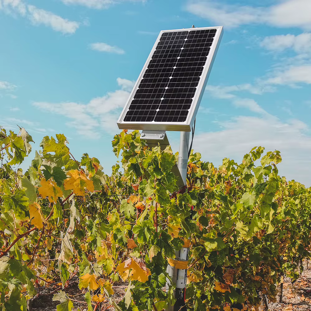 Panneau Solaire 50W /【50W /100W 12V Panneau Solaire Kit】50W 19.8V Chargeur Solaire Set: 50W Mono Panneaux Solaires Intégrant Régulateur de Charge PWM+2 Paires Câble,Charge PV Kit pour Batteries GEL, A