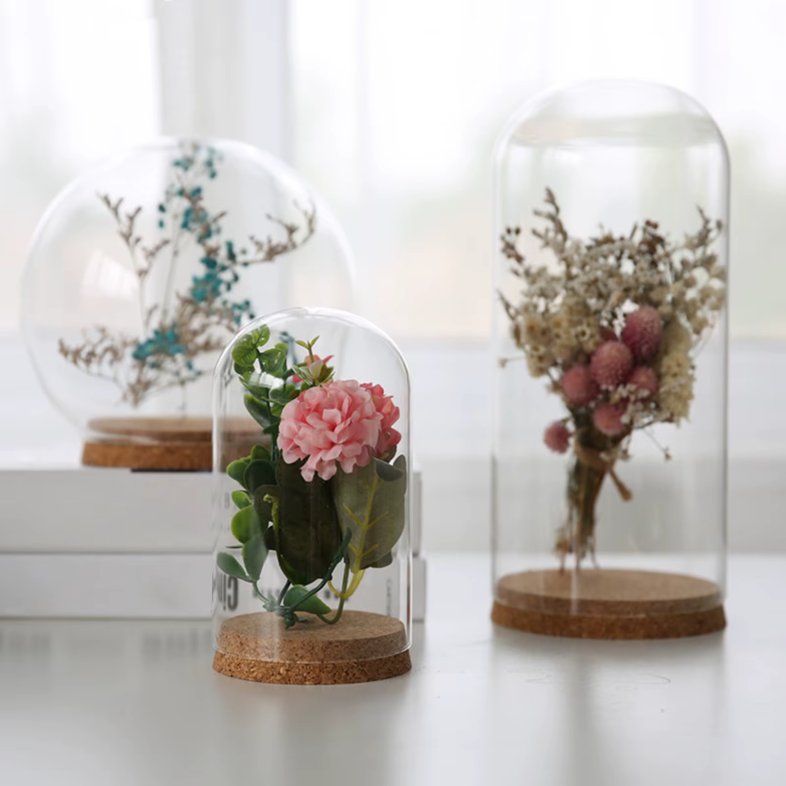 Dôme d'affichage cloche en verre avec Base en bois