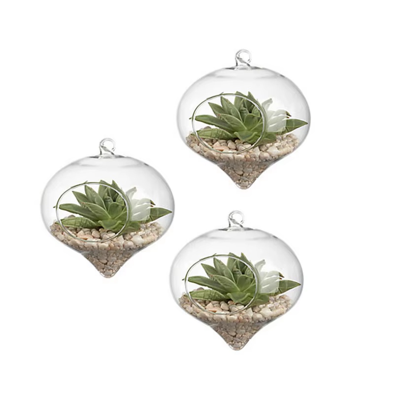 Vase à Boules de Verre de 11x9cm pour Décoration de Mariage, Terrarium, Conteneur, Pots