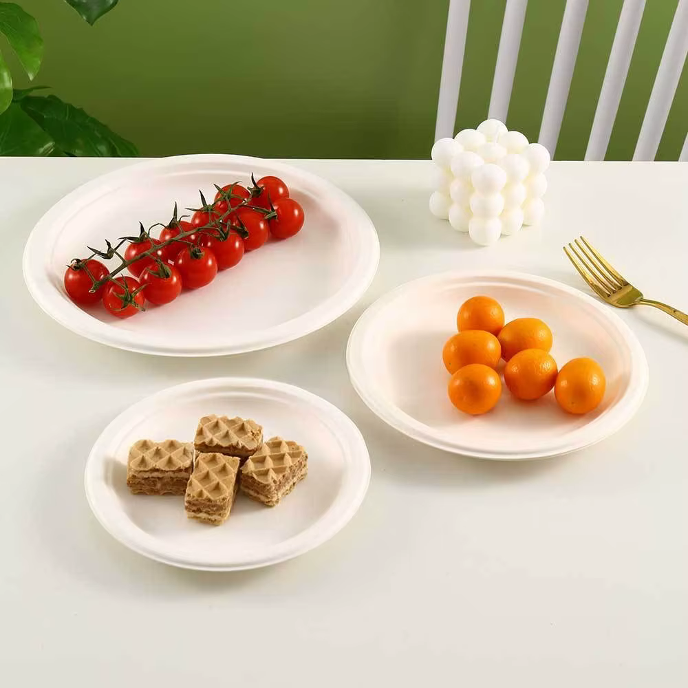 Assiettes de poulet en papier nickel able écologique