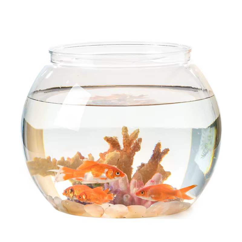 Bol à poisson rond Portable, petits Aquariums pour petits poissons et Reptiles ornementals, verre haute transparence, bonne vue, matériau PET