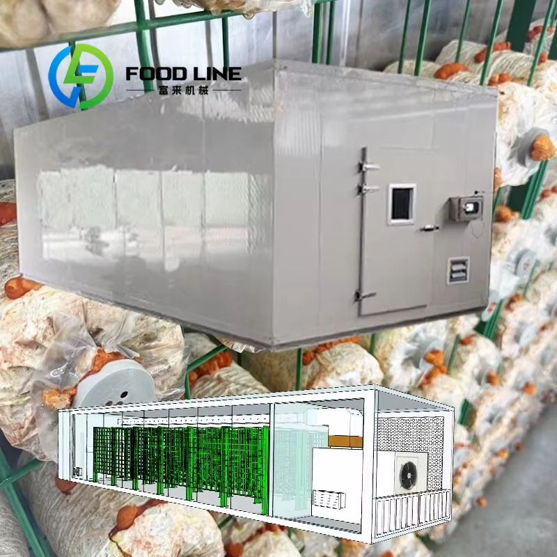 Conteneur d'expédition industriel moderne pour la culture de champignons, équipement de culture de champignons, salle intelligente et automatique pour la culture de champignons en conteneur