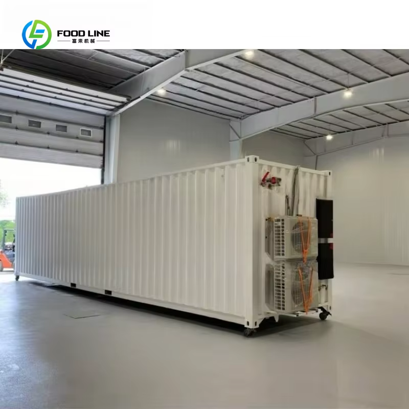 Conteneur de serre hydroponique intelligent personnalisé pour l'agriculture verticale, usine de culture en conteneur