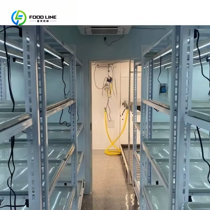 Conteneur de serre hydroponique intelligent personnalisé pour l'agriculture verticale, usine de culture en conteneur