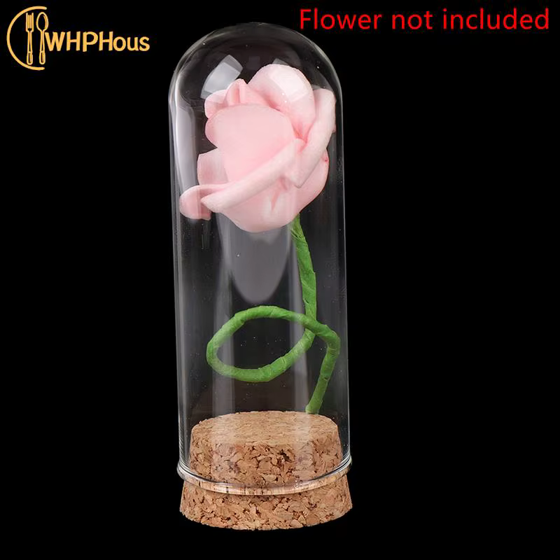 Cloche en verre avec base en bois