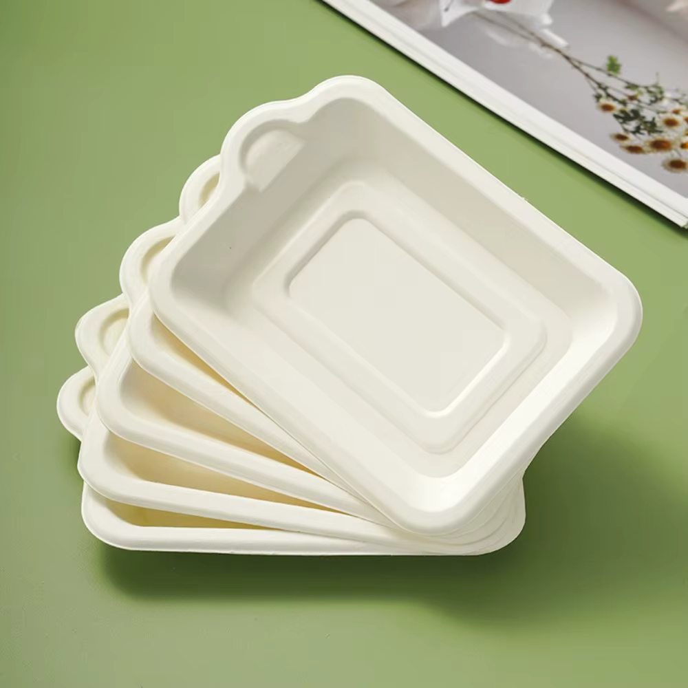 Assiette en papier jetable en matériau biodégradable