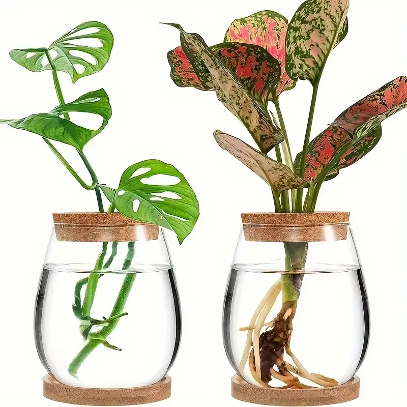 Pot en verre hydroponique - Vase de propagation moderne pour plantes d'intérieur et décoration intérieure