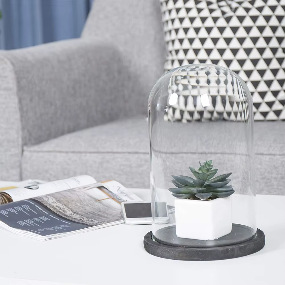 Cloche en verre avec Base en bois noir