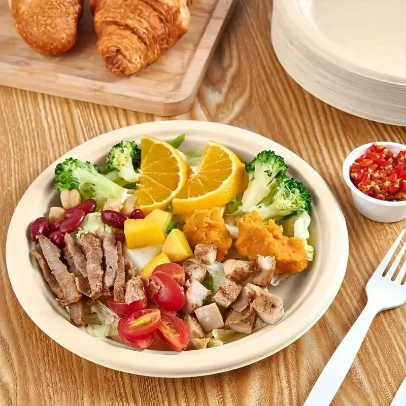 Assiette en papier circulaire jetable biodégradable de 9 pouces