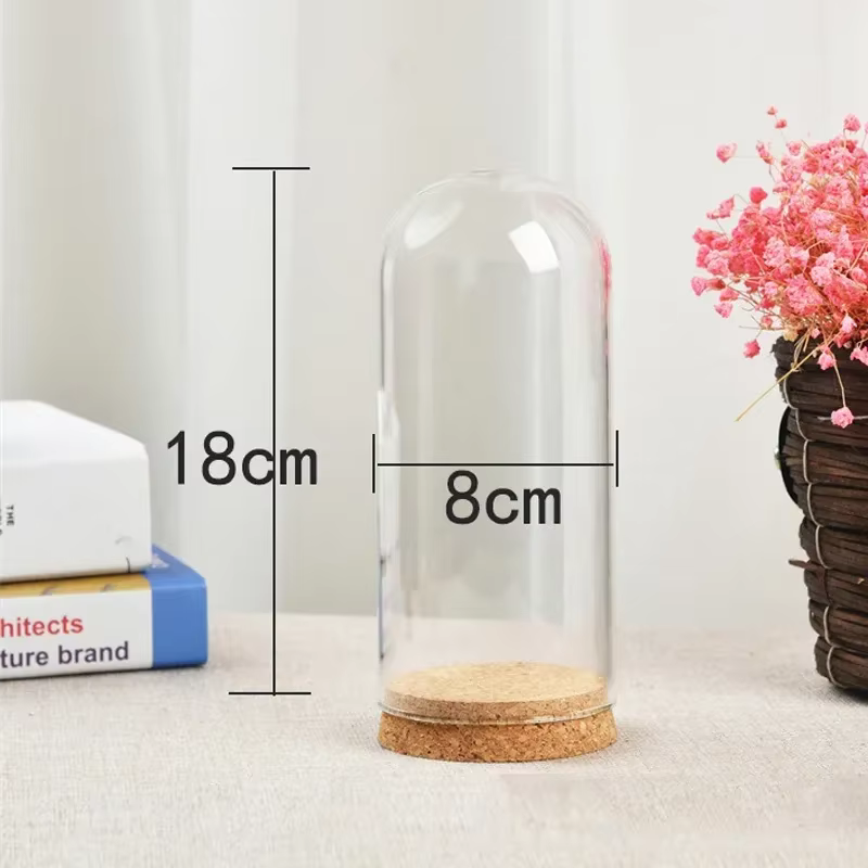 Cloche en forme de dôme en verre