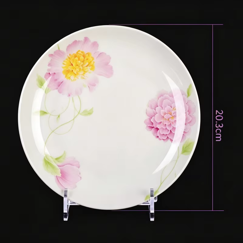 Assiettes de cuisine en porcelaine fine de 8 pouces