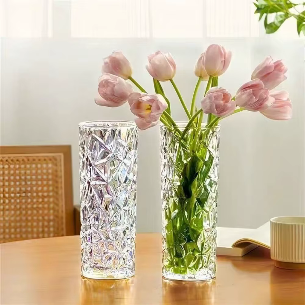 Vase en verre hydroponique transparent à motif glacier