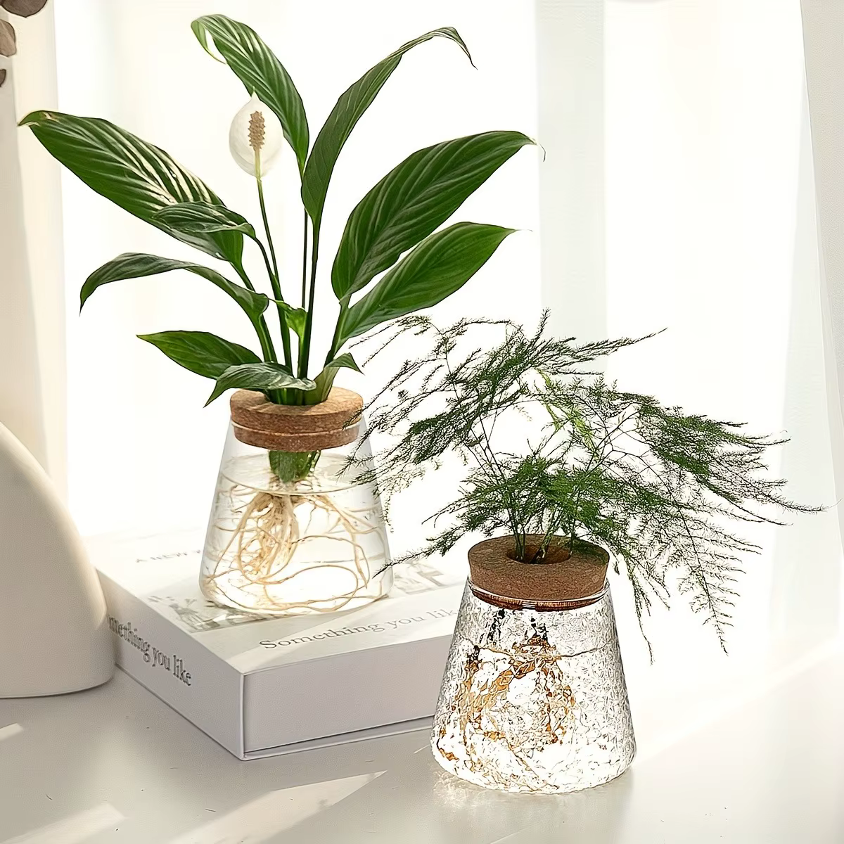 Station de propagation avec vases en verre – Support pour plantes de table pour coupures hydroponiques