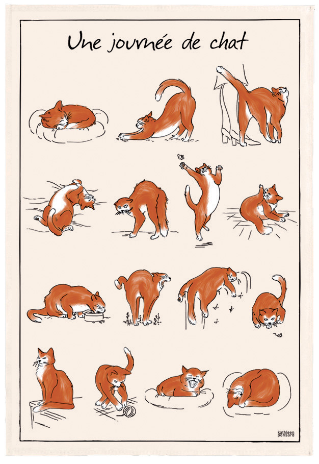 Torchon Imprime Journe de Chat Ecru 48 X 72
